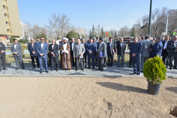 کاشت درخت به مناسبت هفته درختکاری