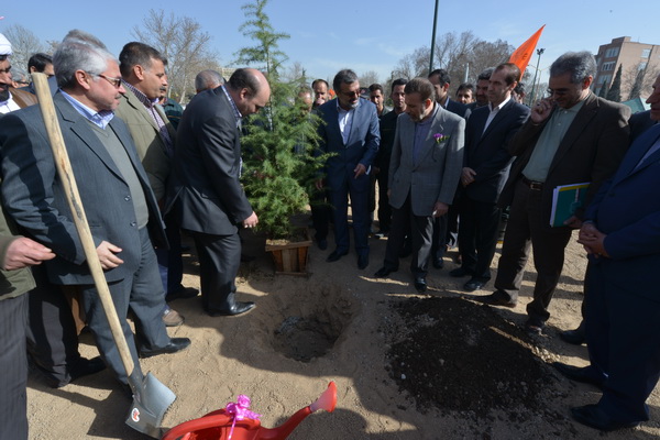 کاشت درخت به مناسبت هفته درختکاری