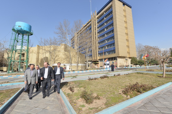 کاشت درخت به مناسبت هفته درختکاری