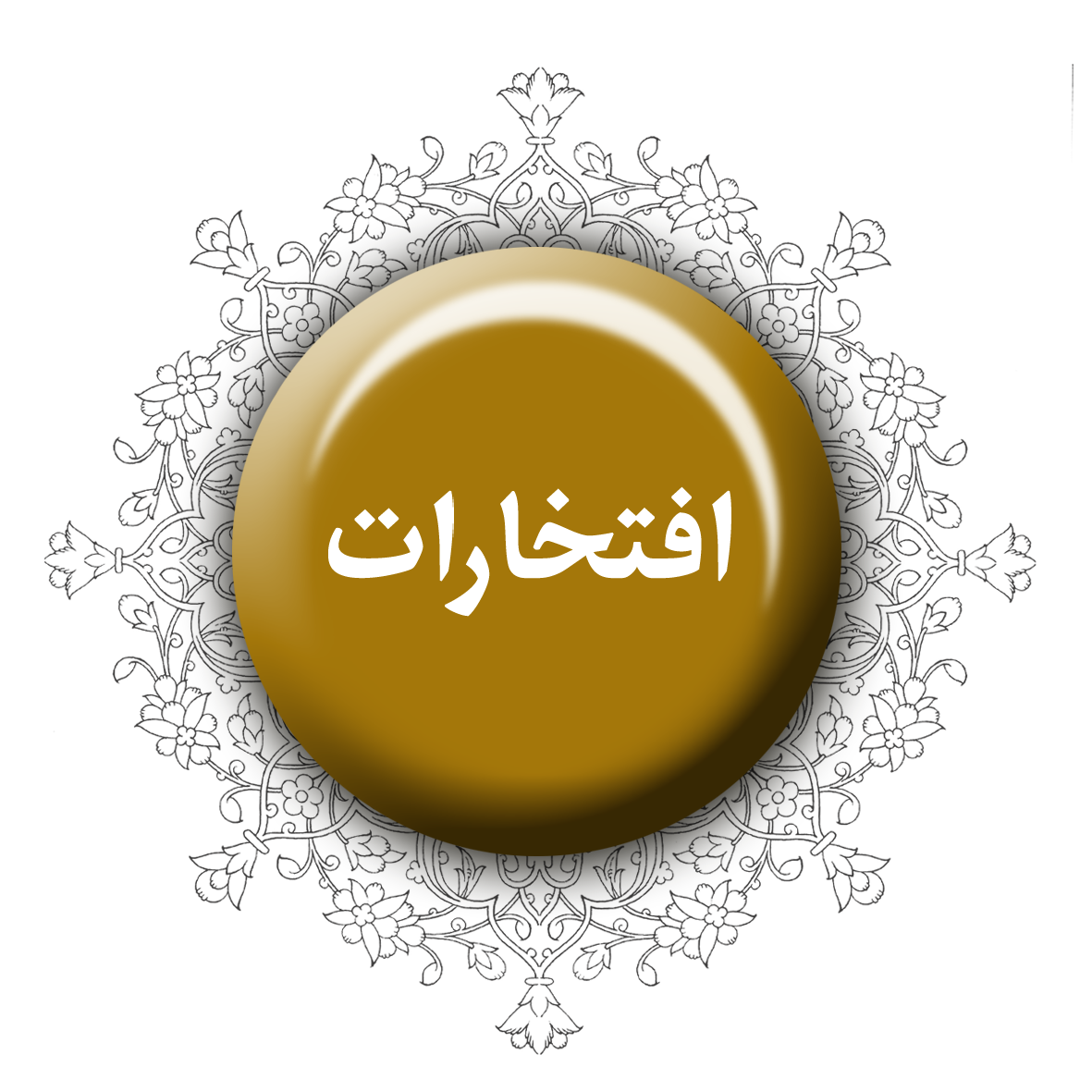 icon2