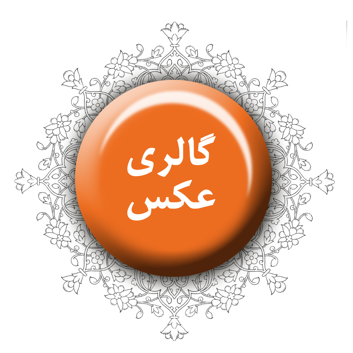 icon3