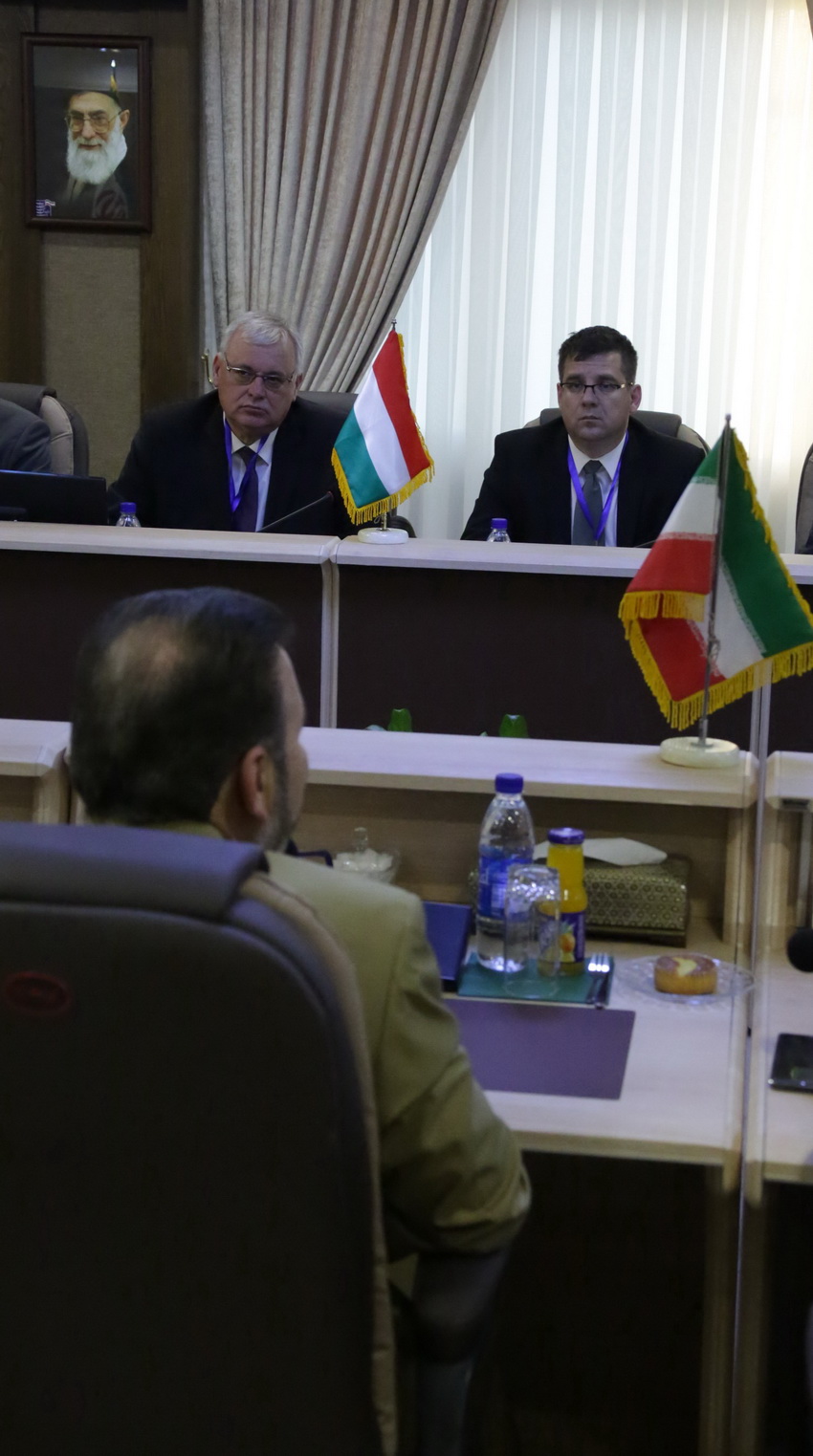 نشست دکتر واعظی و وزیر توسعه مجارستان