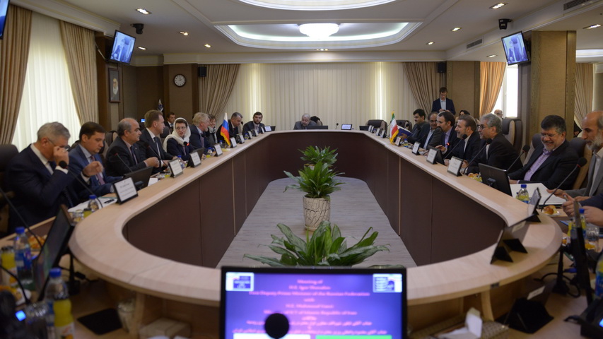 دیدار دکتر واعظی با معاون  اول رییس دولت فدراسیون روسیه