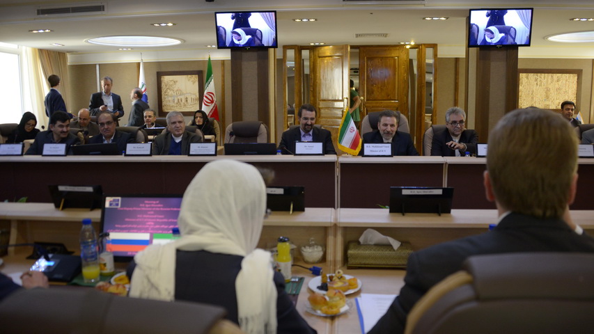 دیدار دکتر واعظی با معاون  اول رییس دولت فدراسیون روسیه