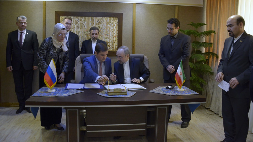 دیدار دکتر واعظی با معاون اول رییس دولت فدراسیون روسیه