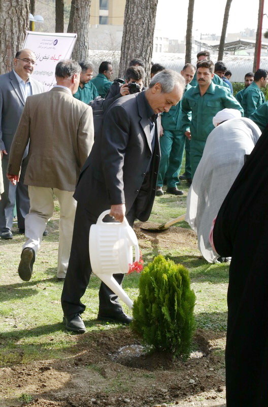 روز درختکاری
