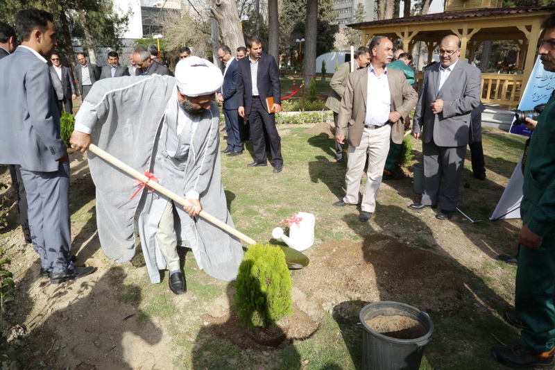 روز درختکاری