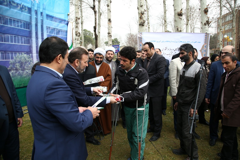 روز درختکاری