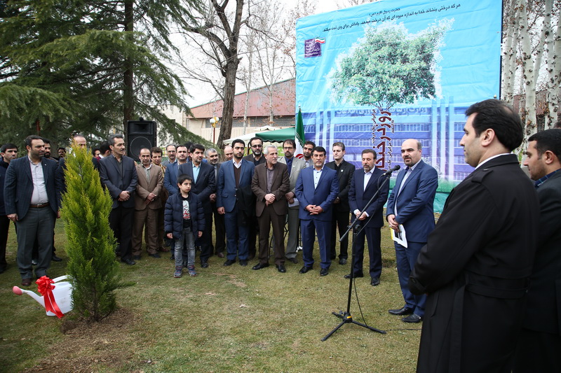روز درختکاری