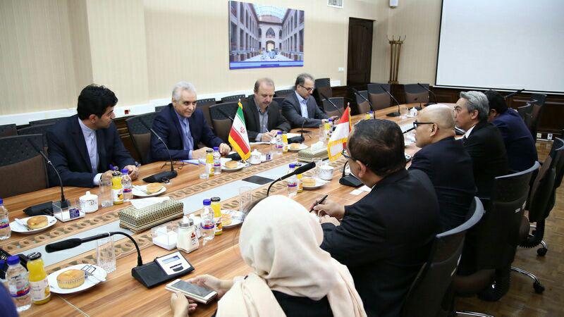 دیدار معاون وزیر امور خارجه اندونزی با مهندس محتشمی قائم مقام وزیر ارتباطات در امور بین الملل
