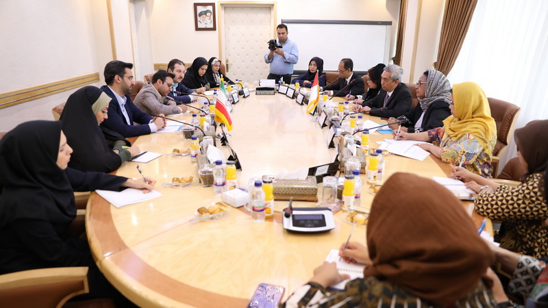 دیدار وزیر توانمندسازی زنان و حمایت از کودکان اندونزی با وزیر ارتباطات ایران