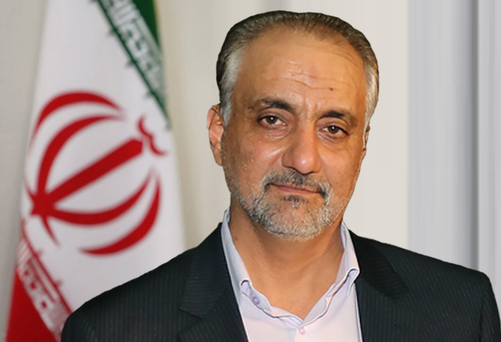 سید حسین دهدشتی - معاون امور دولت، مجلس و استانها