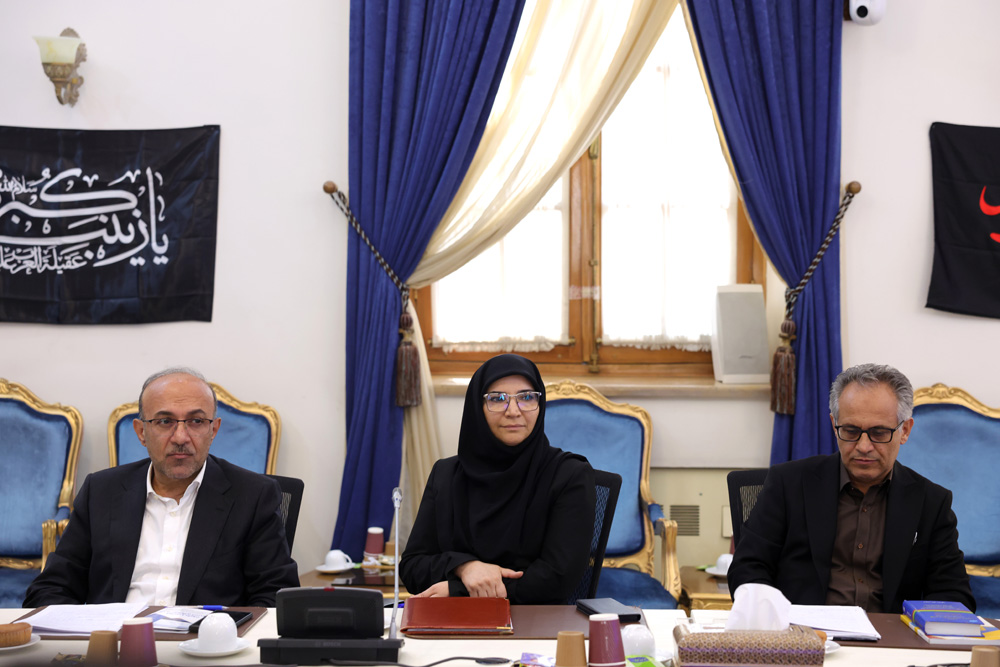 نشست کاری وزرای ارتباطات و امور اقتصادی و دارایی