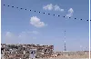 سایت همراه اول در روستای افضل‌آباد سیستان و بلوچستان ارتقا یافت