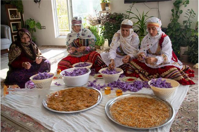با آغاز اجرای پایلوت در سه استان کشور؛ پارک فاوا توسعه اقتصاد دیجیتال روستاها را از گلستان آغاز کرد